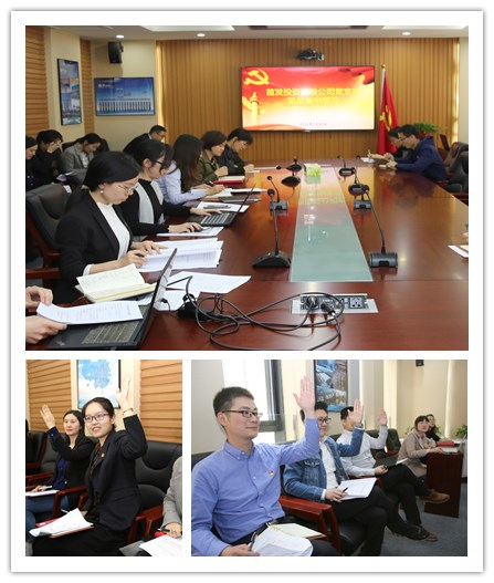 首發投資控股公司黨支部組織開展黨員一(yī)季度專題學(xué)習研讨會